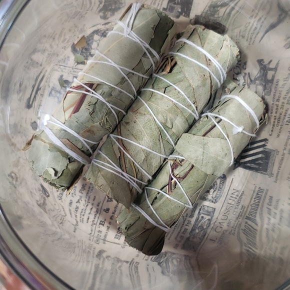 Eucalyptus bundle - Picture 3 of 3